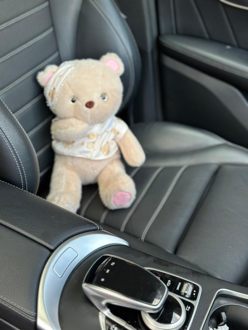 Lainika Bear